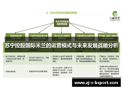 苏宁控股国际米兰的运营模式与未来发展战略分析 苏宁控股国际米兰的运营模式与未来发展战略分析